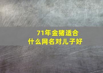 71年金猪适合什么网名对儿子好