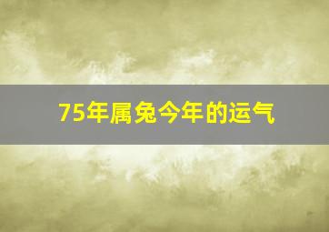 75年属兔今年的运气