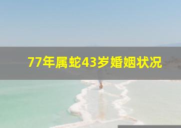 77年属蛇43岁婚姻状况