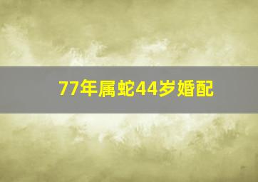 77年属蛇44岁婚配