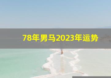 78年男马2023年运势