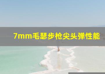 7mm毛瑟步枪尖头弹性能