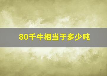 80千牛相当于多少吨