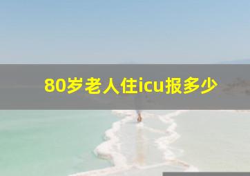 80岁老人住icu报多少