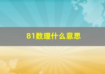 81数理什么意思