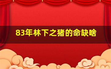 83年林下之猪的命缺啥