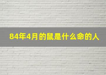 84年4月的鼠是什么命的人