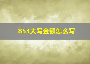 853大写金额怎么写