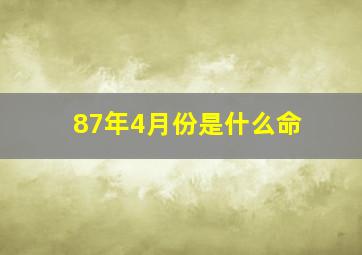 87年4月份是什么命