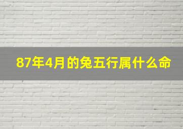 87年4月的兔五行属什么命