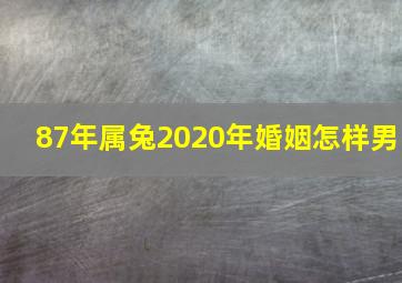 87年属兔2020年婚姻怎样男