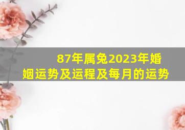 87年属兔2023年婚姻运势及运程及每月的运势