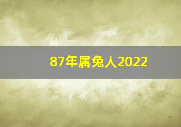 87年属兔人2022