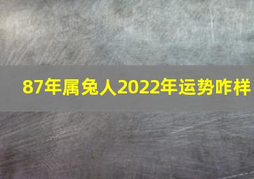 87年属兔人2022年运势咋样