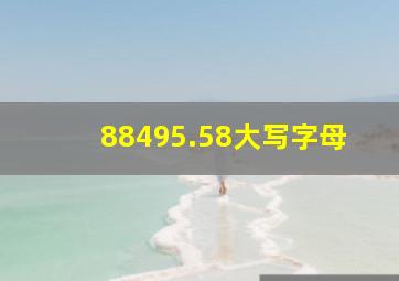 88495.58大写字母