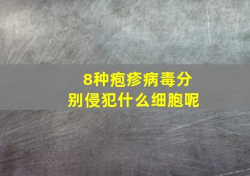 8种疱疹病毒分别侵犯什么细胞呢