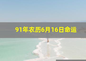 91年农历6月16日命运