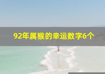 92年属猴的幸运数字6个