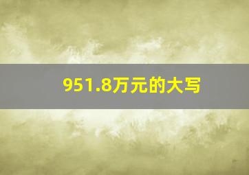 951.8万元的大写