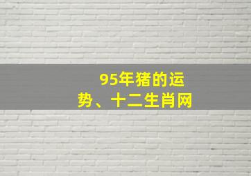 95年猪的运势、十二生肖网