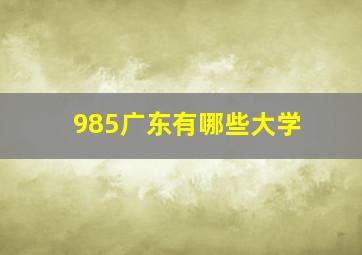 985广东有哪些大学