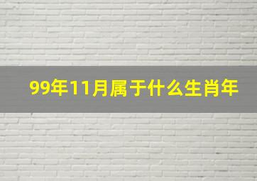 99年11月属于什么生肖年