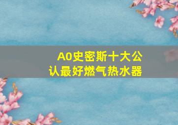 A0史密斯十大公认最好燃气热水器