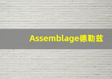 Assemblage德勒兹