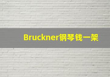 Bruckner钢琴钱一架