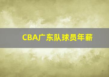 CBA广东队球员年薪