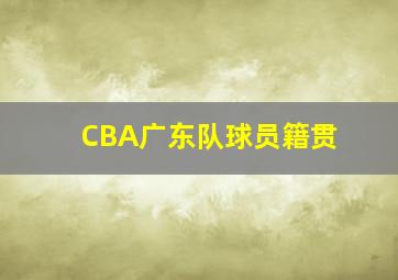 CBA广东队球员籍贯