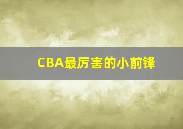 CBA最厉害的小前锋