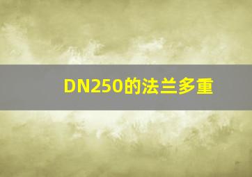 DN250的法兰多重