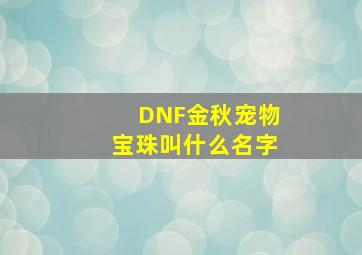 DNF金秋宠物宝珠叫什么名字