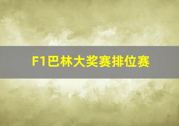 F1巴林大奖赛排位赛