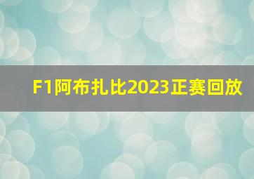 F1阿布扎比2023正赛回放