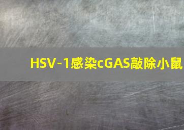 HSV-1感染cGAS敲除小鼠