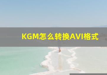 KGM怎么转换AVI格式