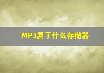 MP3属于什么存储器