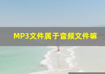 MP3文件属于音频文件嘛