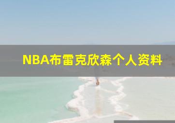 NBA布雷克欣森个人资料