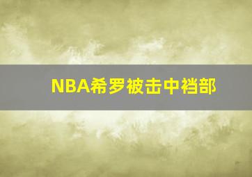 NBA希罗被击中裆部