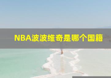 NBA波波维奇是哪个国籍