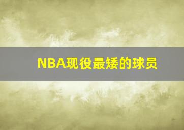 NBA现役最矮的球员