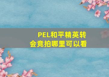 PEL和平精英转会竞拍哪里可以看