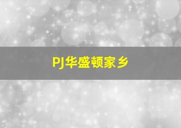 PJ华盛顿家乡