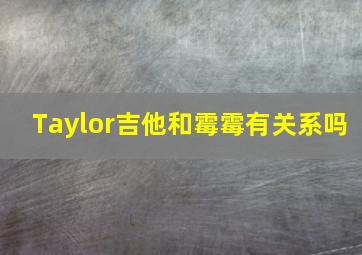 Taylor吉他和霉霉有关系吗