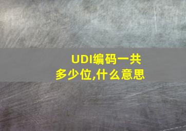 UDI编码一共多少位,什么意思