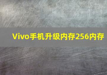 Vivo手机升级内存256内存