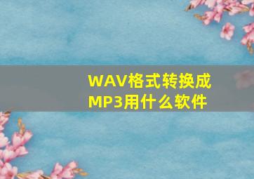 WAV格式转换成MP3用什么软件